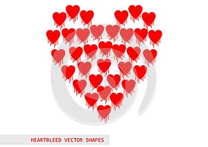 Heartbleed openssl bug vector pattern