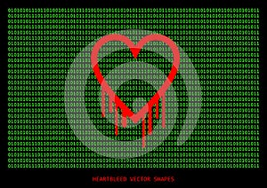 Heartbleed openssl bug vector shape
