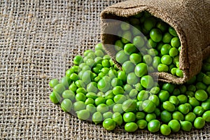 Hearthy fresh green peas and pods on rustic fabric