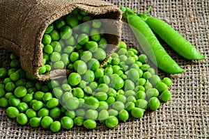 Hearthy fresh green peas and pods on rustic fabric