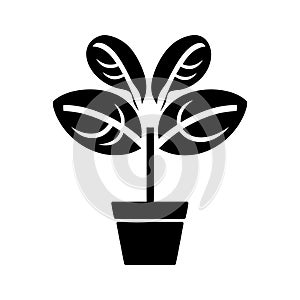 Heartleaf Philodendron plant Icon