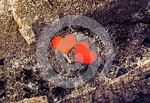 Hearts in the Dirt