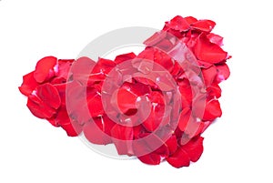 Hearts and flowers to Valentine isolated on white background wit