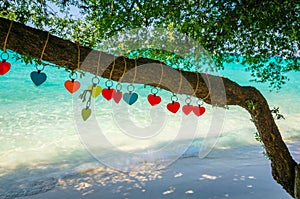 Hearts on the tree on tropical beach of Ko Lan, island near Pattaya, Thailand