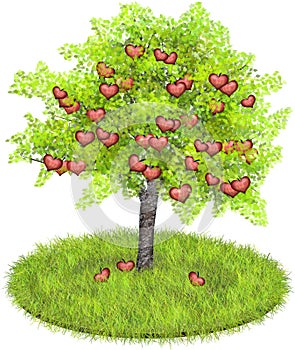 Heartshaped apples in an apple tree