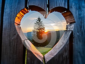 A heartshaped hole in an old wooden fence, through which you can see the beautiful sunset and tall pine tree