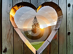 A heartshaped hole in an old wooden fence, through which you can see the beautiful sunset and tall pine tree