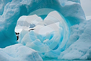 Heartshaped Iceberg Antarctica