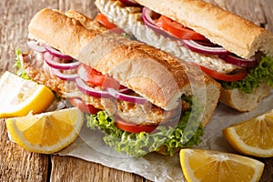 Hearty delicious turkish sandwich balik emek with grilled mackerel served with lemon closeup. horizontal
