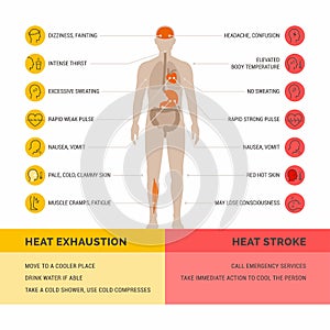 Heat exhaustion and heast stroke infographic