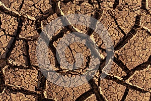 Heat shattered earth in the desert