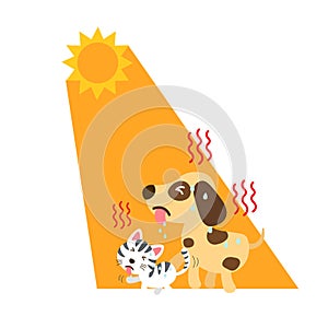 Heat stroke,dog and cat