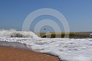 Heat, wave going, beach gold, black sea, beach, wave going to shore, sea storms,