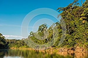 Heath river peruvian Amazon jungle Madre de Dios Peru photo