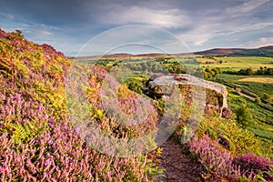 Heather bracken and crags on Rothbury Terraces photo