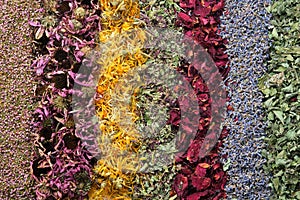 Heather, echinacea, calendula, wild marjoram, rose petals, lavender flowers and lemon balm.