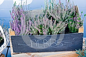 Heather flowers in a wooden box