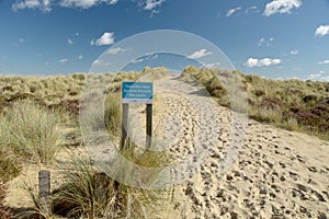 Heather trail near Studland beach on Dorset coast