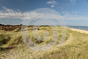 Heather walk by Studland Bay