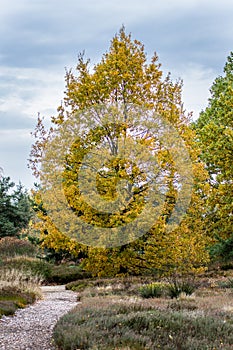 Heathland Botanical Garden University of Bayreuth