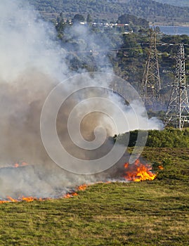 Heathland Fire