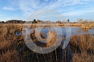 Heathland and pond in the Coquibus hill