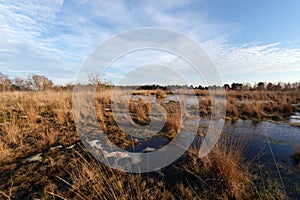 Heathland and pond in the Coquibus hill