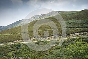 Heathlands in Saliencia Valley photo