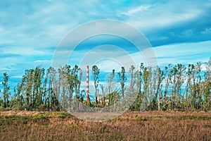 Heating plant chimney flue gas stack in red and white seen through treeline woodland