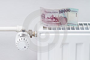 Heating thermostat with money