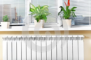 Heating white radiator radiator with flower and window.