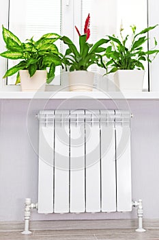 Heating white radiator radiator with flower and window.