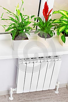 Heating white radiator radiator with flower and window.