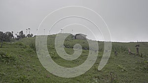 Heaven Above the Himalayas