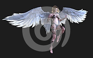 The Heaven Angel Wings, White Wing Plumage with Clipping Path