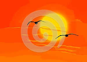 Heaven. Birds with orange sunset