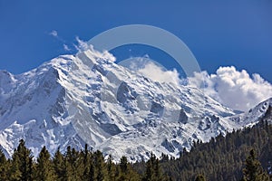 heaven on earth,Nanga Parbat Mountain (8,126 meters) from Fairy Meadows,Pakistan,