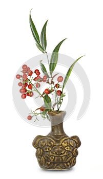 Heavenly bamboo in the vase