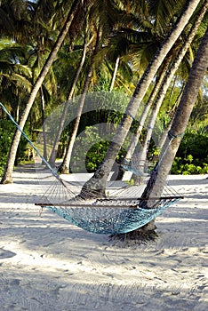 Heavenly beach with hammock