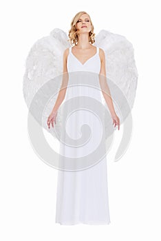 Heavenly bliss. Studio shot of a young woman in angel wings isolated on white.