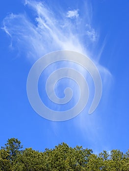 Heavenly cirrus cloud photo