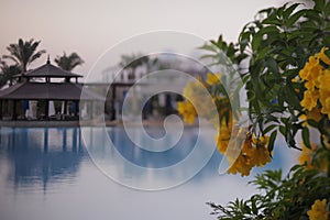 Heavenly place - relaxing by the pool with flowers on a weekend holiday in Egypt