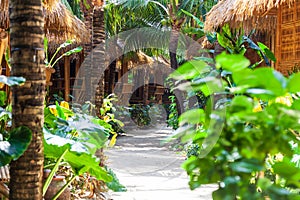 heavenly vacation on phi phi don island in thailand in a hotel with bamboo bungalow among palm trees