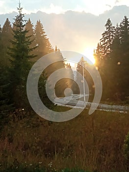 heavenroad sunshine sungoesdown nature