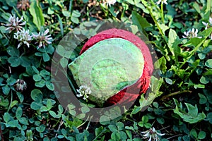 Heavily chewed up destroyed old red and green tennis ball used by dogs for play left in suburban family house backyard