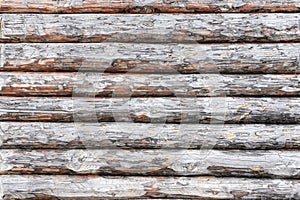 A heavily cracked wooden wall of a blockhouse as a background