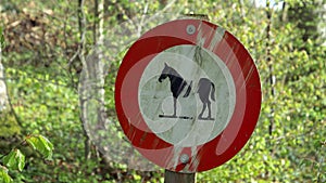 Heavily soiled and scratched horse prohibition riding forbidden sign, in the background a green forest, by day without people