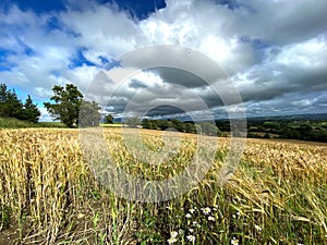 Heavy clouds, hanging over the fields near, Leathley, Harrogate, UK