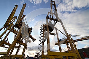 Heavy cranes in harbor