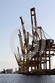 Heavy cranes on shipyard